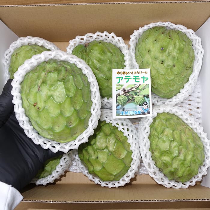 箱番号10.アテモヤ　　小さなサイズ7kg 沖縄県より産地直送 JAおきなわ アテモヤ LからSサイズ 約1.8キロ (6玉